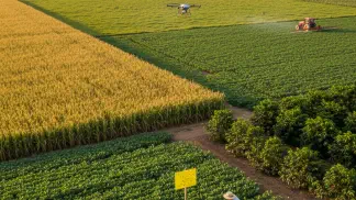 Miniatura do artigo de Manejo Integrado de Pragas: Monitoramento de Pragas: O Guia Prático para Tomar a Decisão Certa na Lavoura