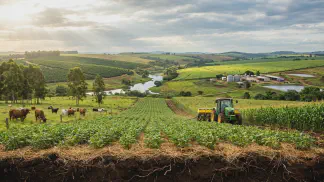 Miniatura do artigo de Gestão Agrícola: Mudanças Climáticas na Fazenda: Impactos e Soluções [2025]
