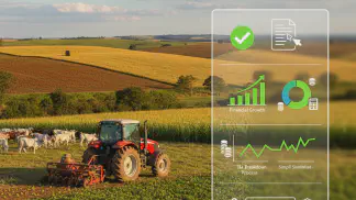 Miniatura do artigo de Gestão Financeira: Nota Fiscal Avulsa (NFA-e): Um Guia Completo para o Produtor Rural