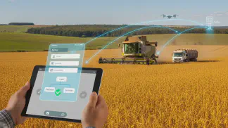 Miniatura do artigo de Gestão Financeira: Nota Fiscal de Produtor Rural no MS: Guia Completo para Emissão e Cancelamento