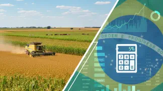 Miniatura do artigo de Gestão Financeira: Operação Declara Grãos: Guia para Regularizar o Imposto de Renda Rural