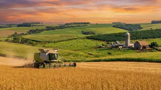 Miniatura do artigo de Gestão Agrícola: História da Soja: Guia Completo da Origem à Evolução [2025]