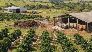 Miniatura do artigo de Gestão Agrícola: Ovinocultura Lucrativa: Guia de Manejo e Adubação [2025]