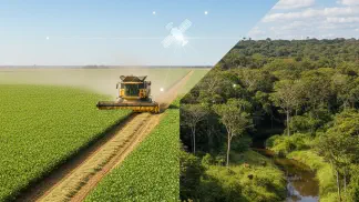 Miniatura do artigo de Agricultura de Precisão: Pacto da Soja: O Que Muda para o Produtor Rural? Um Guia Completo