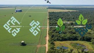 Miniatura do artigo de Mercado Agrícola: Pacto da Soja: O Que Muda Para o Produtor Rural?