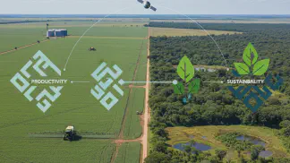 Miniatura do artigo de Mercado Agrícola: Pacto da Soja: O Que Muda Para o Produtor Rural?