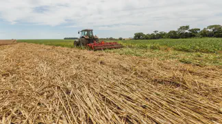 Miniatura do artigo de Gestão Agrícola: Palhada no Plantio Direto: Guia de Manejo e Tipos [2025]