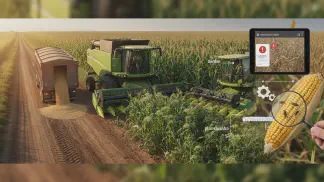 Miniatura do artigo de Gestão Agrícola: Perdas na Colheita: 5 Erros Comuns e Como Evitá-los para Aumentar seu Lucro