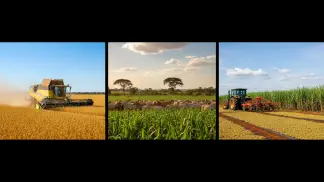 Miniatura do artigo de Mercado Agrícola: Perspectivas do Agronegócio 2020: Guia Completo para Grãos e Pecuária