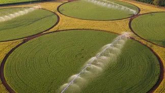 Miniatura do artigo de Gestão Agrícola: Pivô Central de Irrigação: Guia Completo com Custos, Tipos e Vantagens