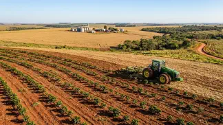 Miniatura do artigo de Gestão Agrícola: Planejamento de Plantio: 7 Passos para o Sucesso [2025]