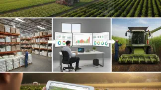 Miniatura do artigo de Gestão Financeira: Planejamento Estratégico no Agronegócio: O Guia Completo para Sua Fazenda