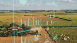 Miniatura do artigo de Gestão Financeira: Planejamento Fiscal na Fazenda: Guia Completo para o Produtor Rural