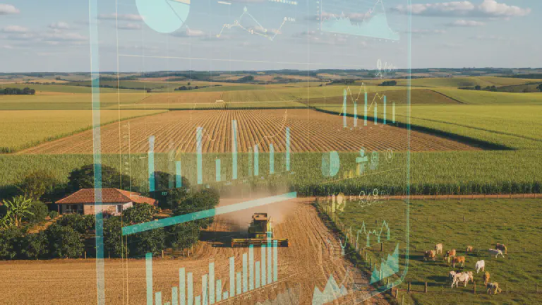 Planejamento Fiscal na Fazenda: Guia Completo para o Produtor Rural