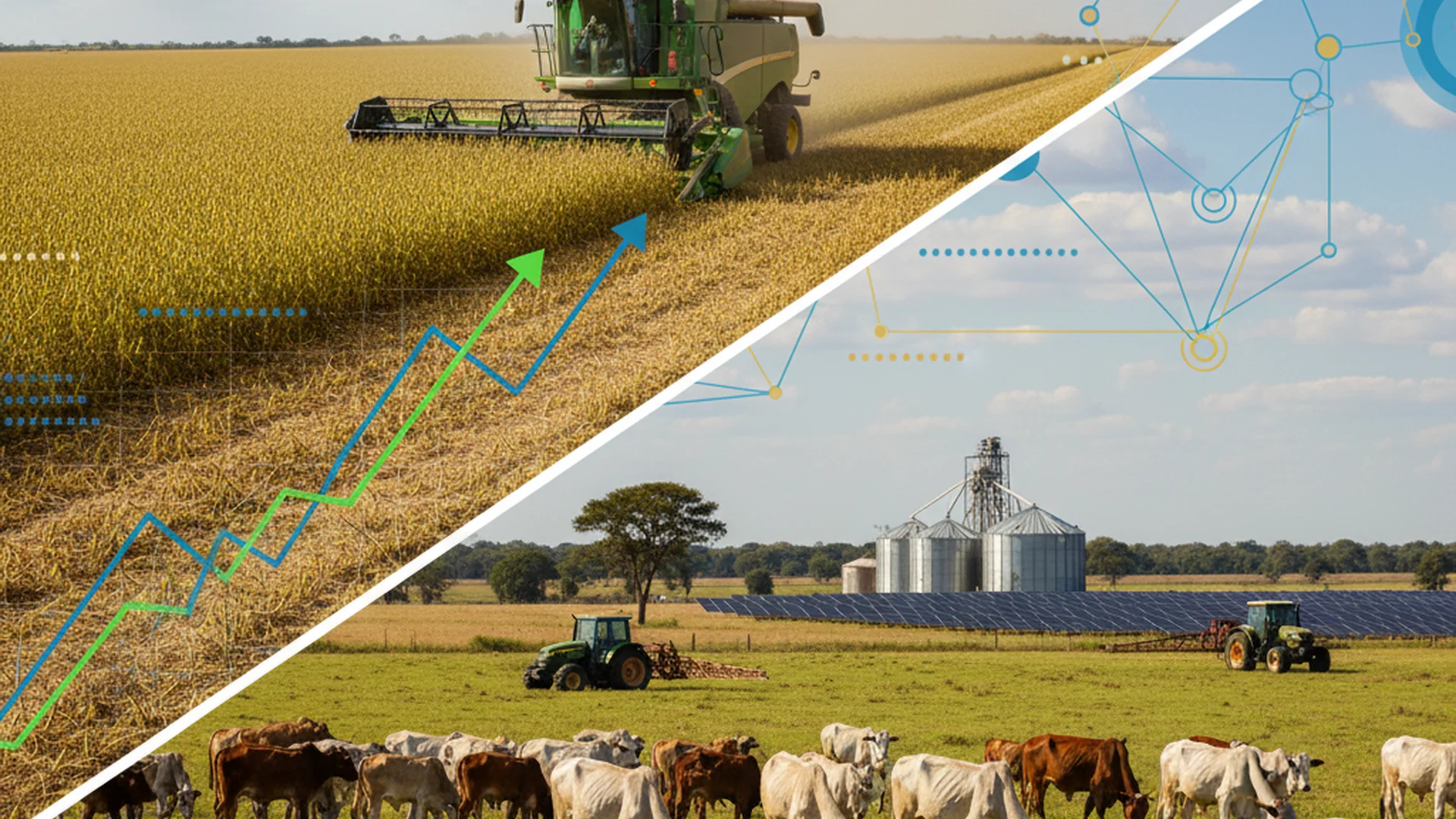 Plano Safra 2020/21: Guia Completo das Linhas de Crédito e Taxas de Juros