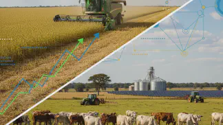 Miniatura do artigo de Gestão Financeira: Plano Safra 2020/21: Guia Completo das Linhas de Crédito e Taxas de Juros