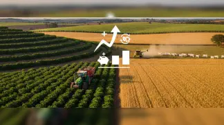 Miniatura do artigo de Crédito Rural: Plano Safra 2022/23: Guia Completo para Garantir Financiamento