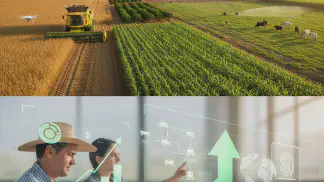 Miniatura do artigo de Crédito Rural: Plano Safra 2025/26: Guia com Valores e Novidades ao Produtor