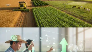 Miniatura do artigo de Crédito Rural: Plano Safra 2025/26: Guia com Valores e Novidades ao Produtor