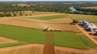 Miniatura do artigo de Gestão Agrícola: Plantação de Soja: Guia Completo do Planejamento à Alta Produtividade