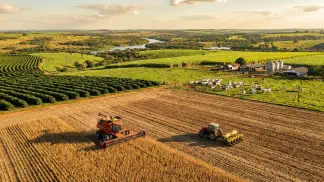 Miniatura do artigo de Gestão Agrícola: Plantio de Amendoim: Época Ideal e Guia de Manejo [2025]