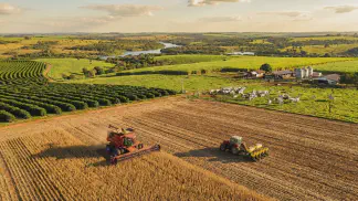 Miniatura do artigo de Gestão Agrícola: Plantio de Amendoim: Época Ideal e Guia de Manejo [2025]