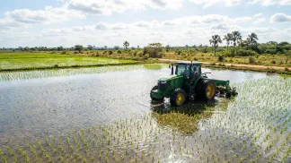 Miniatura do artigo de Gestão Agrícola: Plantio de Arroz: Época Ideal e Densidade de Sementes [2025]
