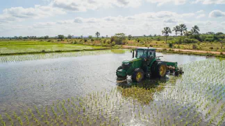 Miniatura do artigo de Gestão Agrícola: Plantio de Arroz: Época Ideal e Densidade de Sementes [2025]