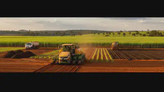 Miniatura do artigo de Gestão Agrícola: Plantio de Cana de Ano e Meio: O Guia Definitivo para Aumentar a Produtividade