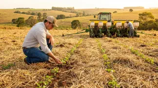 Miniatura do artigo de Gestão Agrícola: Plantio Direto: Como Começar sem Perder Dinheiro [Guia 2025]