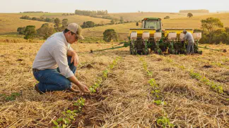 Miniatura do artigo de Gestão Agrícola: Plantio Direto: Como Começar sem Perder Dinheiro [Guia 2025]