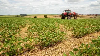 Miniatura do artigo de Gestão Agrícola: Doenças no Plantio Direto: Guia Completo de Manejo [2025]