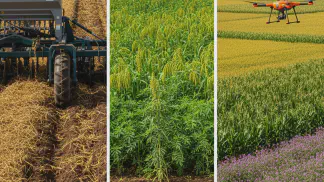 Miniatura do artigo de Gestão Agrícola: Plantio Direto: Guia Completo para Aumentar a Produtividade e Cuidar do Solo