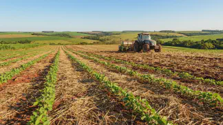 Miniatura do artigo de Gestão Agrícola: Plantio Direto vs Semeadura: Guia das Diferenças [2025]