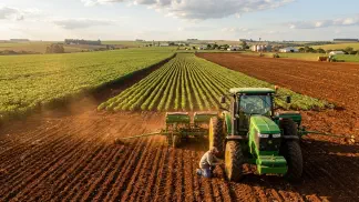 Miniatura do artigo de Gestão Agrícola: Plantio de Gergelim: Manual ou Mecanizado? Guia Prático [2025]