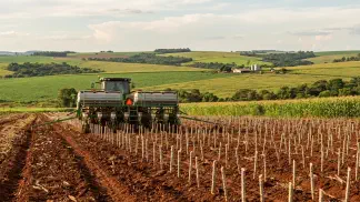 Miniatura do artigo de Gestão Agrícola: Época de Plantio de Mandioca: Guia para Lucrar Mais [2025]