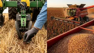 Miniatura do artigo de Gestão Agrícola: Plantio de Sorgo: 5 Dicas de Regulagem da Semeadeira [2025]