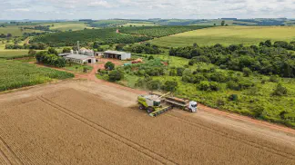 Miniatura do artigo de Gestão Agrícola: Colheita de Frutas Climatéricas: Guia do Ponto Certo [2025]