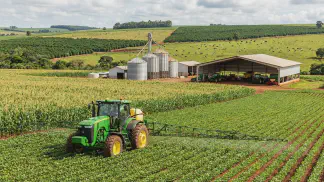 Miniatura do artigo de Gestão Agrícola: Ponto de Colheita da Pera: Guia Prático Contra Perdas [2025]