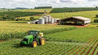 Miniatura do artigo de Gestão Agrícola: Ponto de Colheita da Pera: Guia Prático Contra Perdas [2025]