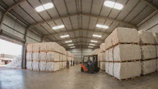 Miniatura do artigo de Gestão Agrícola: Pós-colheita do Algodão: Guia Completo para sua Safra [2025]