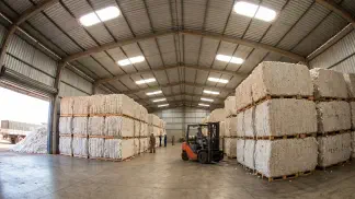 Miniatura do artigo de Gestão Agrícola: Pós-colheita do Algodão: Guia Completo para sua Safra [2025]