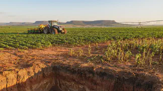 Miniatura do artigo de Gestão Agrícola: Produtividade na Lavoura: Potencial x Realidade [Guia 2025]