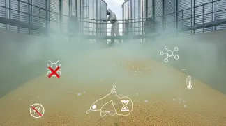 Miniatura do artigo de Manejo Integrado de Pragas: Pragas de Armazenamento: Como Identificar e Controlar Após a Colheita