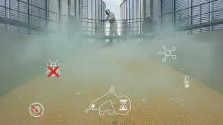 Miniatura do artigo de Manejo Integrado de Pragas: Pragas de Armazenamento: Como Identificar e Controlar Após a Colheita