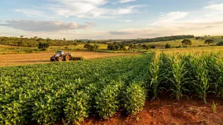 Miniatura do artigo de Gestão Agrícola: Pragas na Lavoura: Guia Prático de Manejo e Controle [2025]