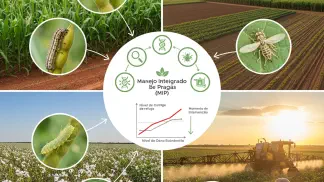 Miniatura do artigo de Manejo Integrado de Pragas: Pragas Polífagas: Como Identificar e Controlar na Lavoura