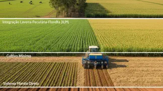 Miniatura do artigo de Agricultura de Precisão: Práticas de Plantio: O Guia Definitivo para Soja, Milho e Algodão