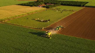 Miniatura do artigo de Planejamento Agrícola: Preço da Soja: Fatores de 2023 e o que Esperar para 2024