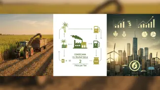 Miniatura do artigo de Mercado Agrícola: Preço da Tonelada de Cana 2019: Cálculo e Perspectivas de Mercado